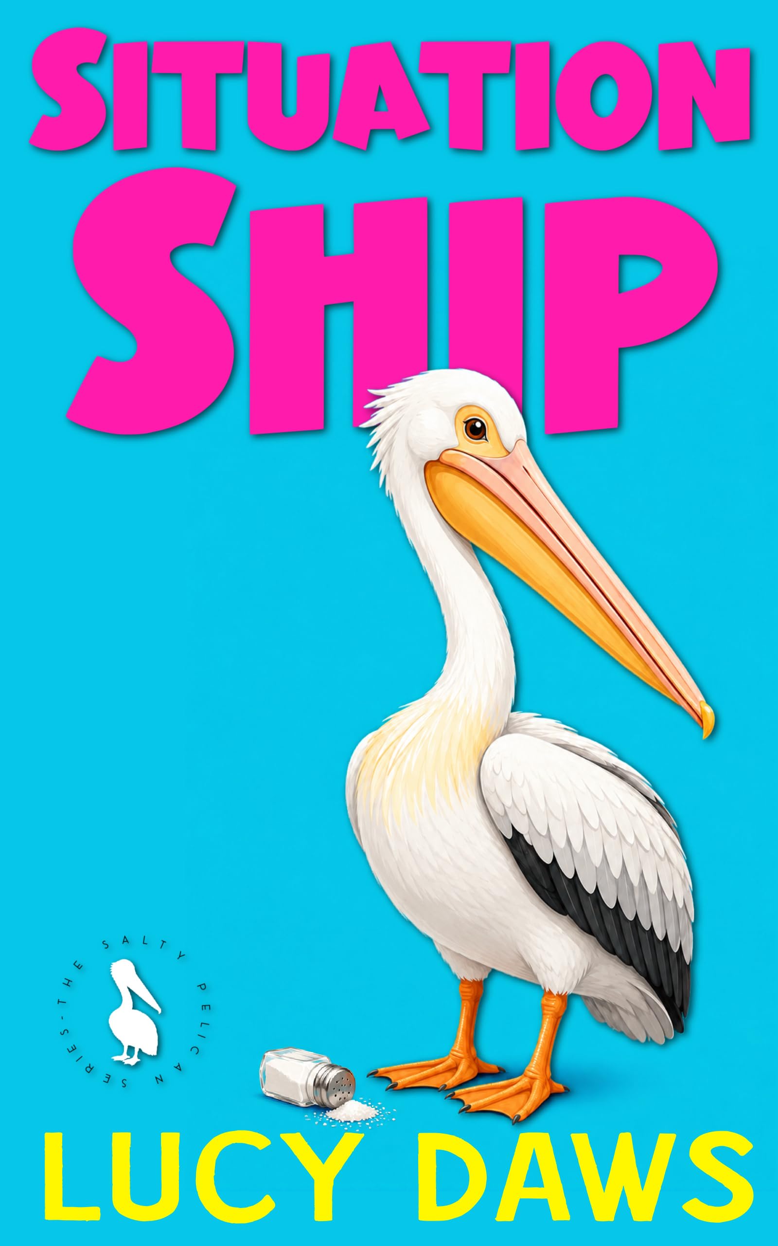 Situation Ship book cover
